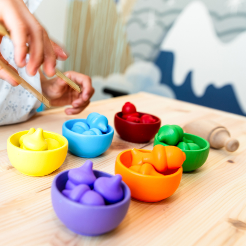 Jeu de Tri de Couleurs  Montessori